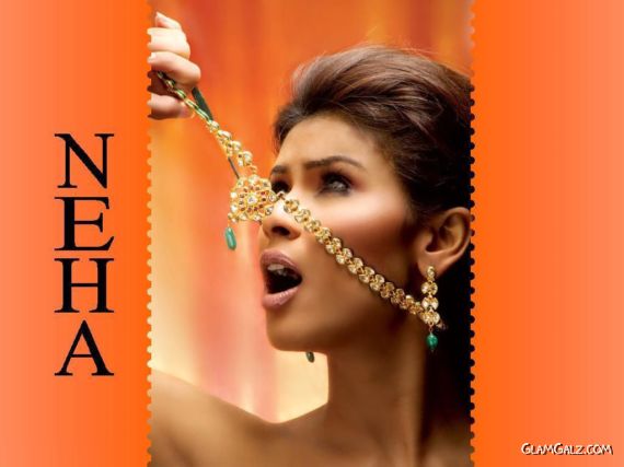 Click to Enlarge - Pakistani Fashion Models Walls