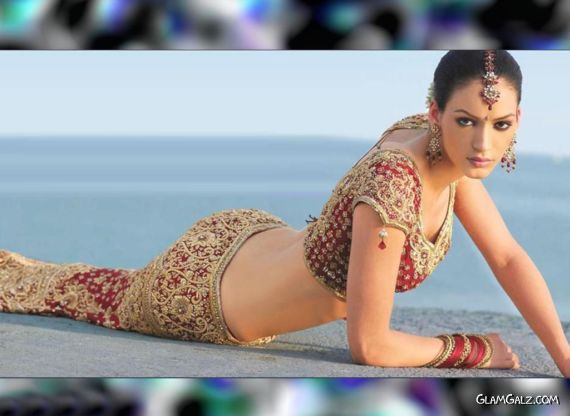 Click to Enlarge - Pakistani Fashion Models Walls