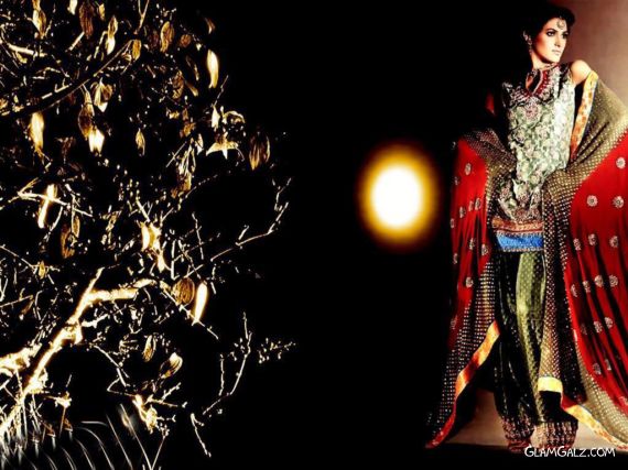 Click to Enlarge - Pakistani Fashion Models Walls